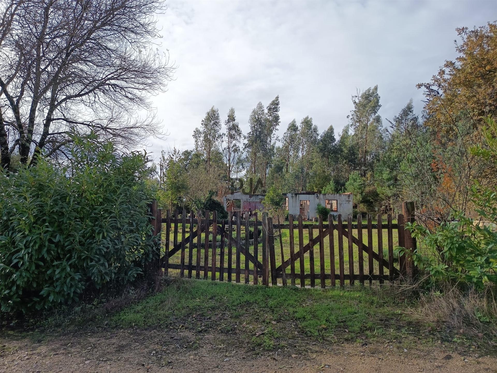Terreno Rústico em Treixedo, Santa Comba Dão