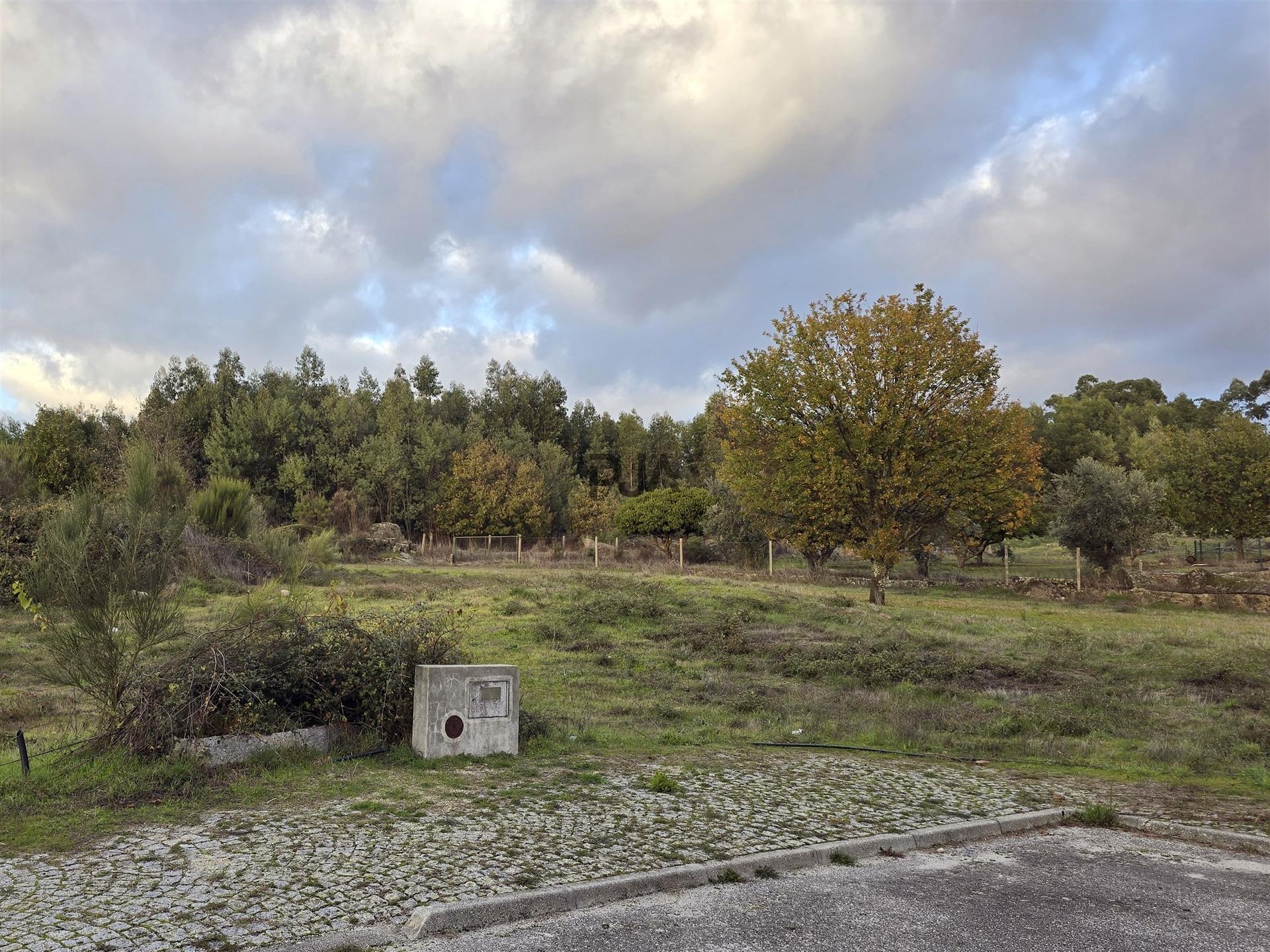 Lote de Terreno para Construção em Nespereira, Gouveia