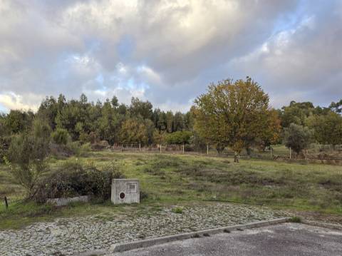 Lote de Terreno para Construção em Nespereira, Gouveia