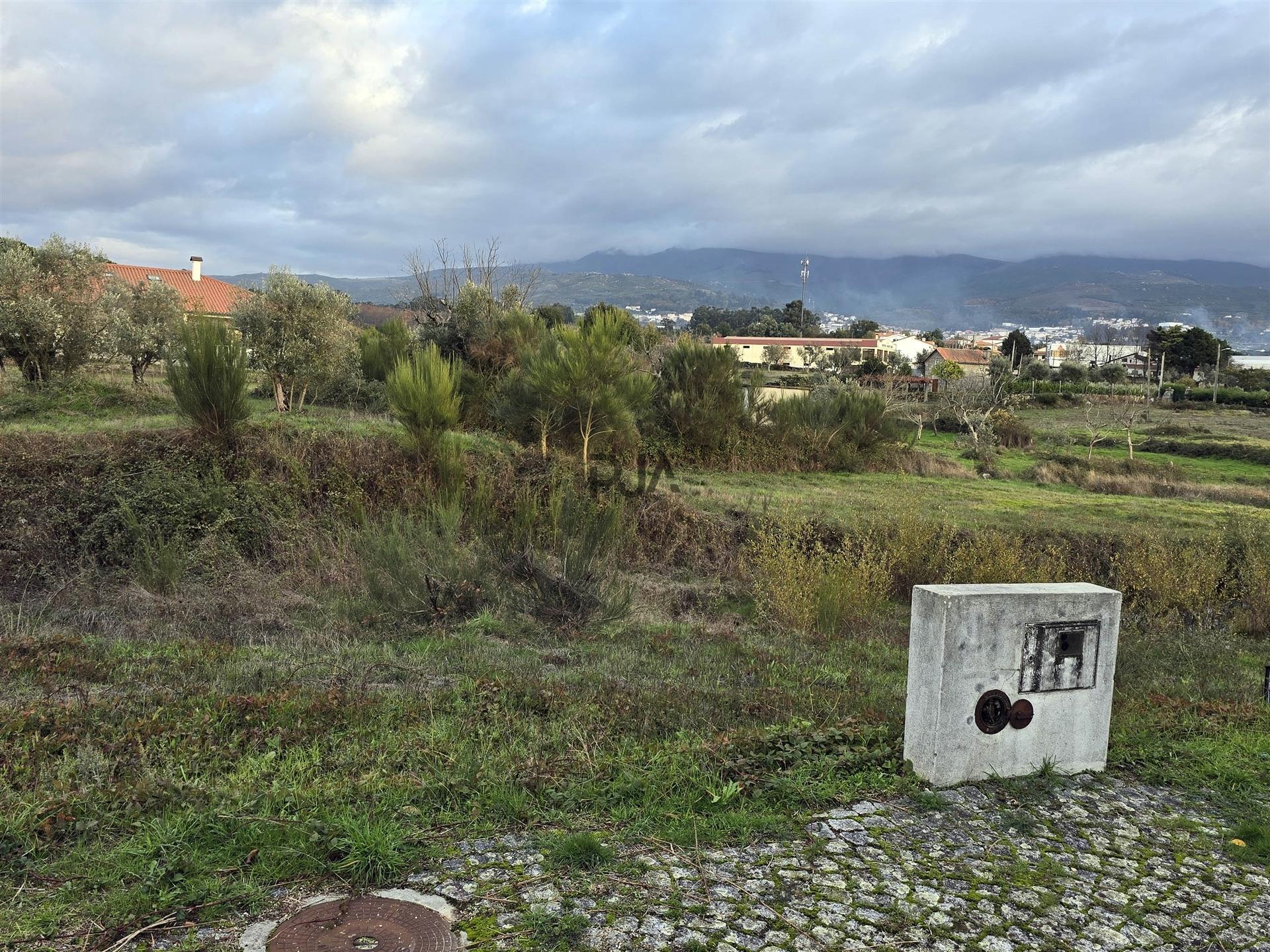 Lote de Terreno para Construção em Nespereira, Gouveia
