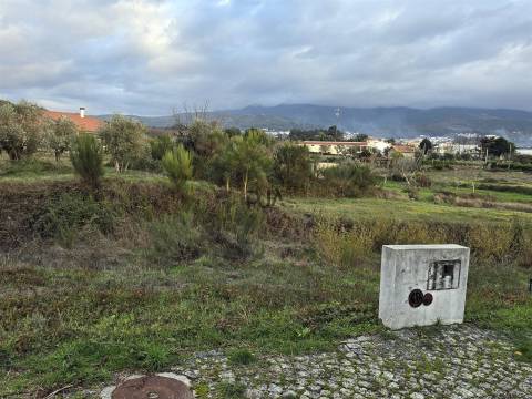 Lote de Terreno para Construção em Nespereira, Gouveia