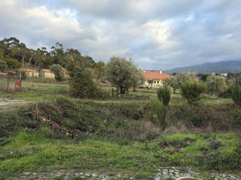 Lote de Terreno para Construção em Nespereira, Gouveia