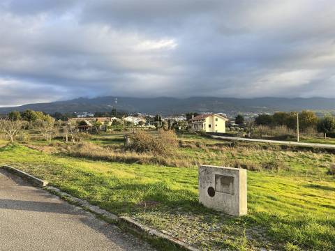 Lote de Terreno para Construção em Nespereira, Gouveia