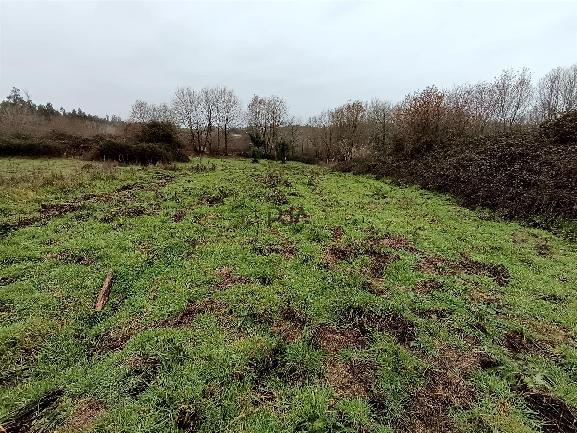 Moradia Devoluta em pedra em Casal Vidona, Santa Comba Dão