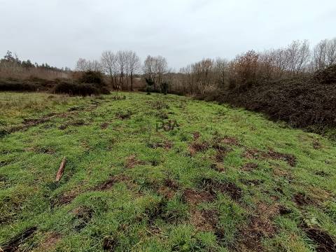 Moradia Devoluta em pedra em Casal Vidona, Santa Comba Dão