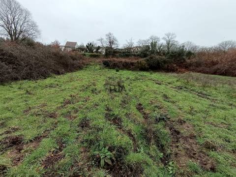 Moradia Devoluta em pedra em Casal Vidona, Santa Comba Dão