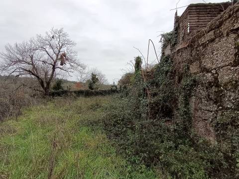 Moradia Devoluta em pedra em Casal Vidona, Santa Comba Dão