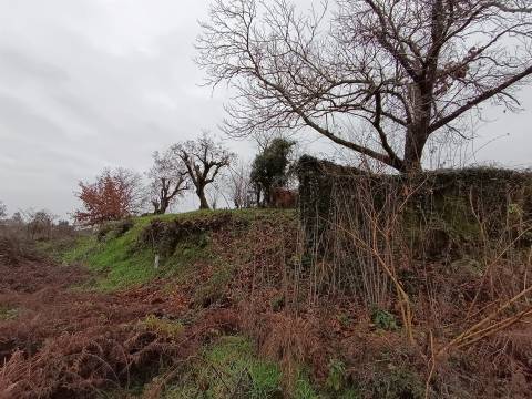 Moradia Devoluta em pedra em Casal Vidona, Santa Comba Dão