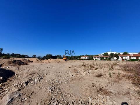 Lote Industrial em Mangualde