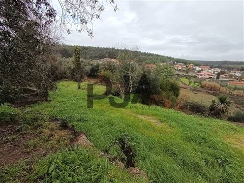 Terreno com Viabilidade de Construção em Treixedo, Santa Comba Dão