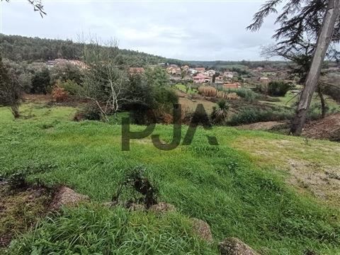 Terreno com Viabilidade de Construção em Treixedo, Santa Comba Dão