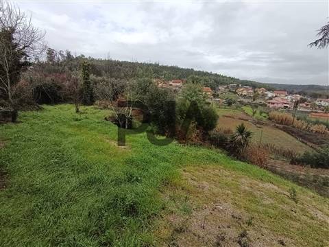 Terreno com Viabilidade de Construção em Treixedo, Santa Comba Dão