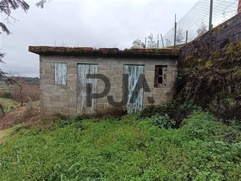 Terreno com Viabilidade de Construção em Treixedo, Santa Comba Dão