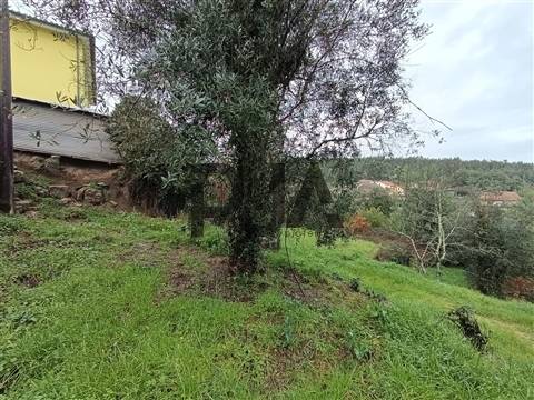 Terreno com Viabilidade de Construção em Treixedo, Santa Comba Dão