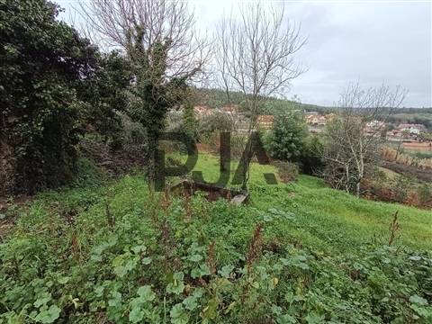Terreno com Viabilidade de Construção em Treixedo, Santa Comba Dão