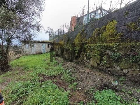 Terreno com Viabilidade de Construção em Treixedo, Santa Comba Dão