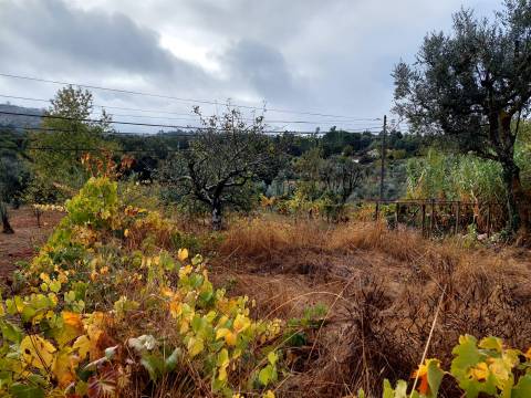 Terreno Rútico  em Santo André, Mangualde