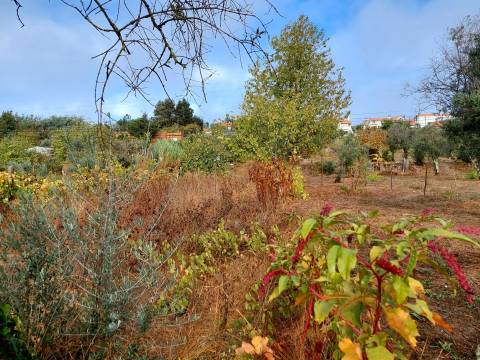 Terreno Rútico  em Santo André, Mangualde