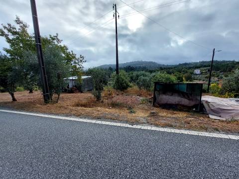 Terreno Rútico  em Santo André, Mangualde