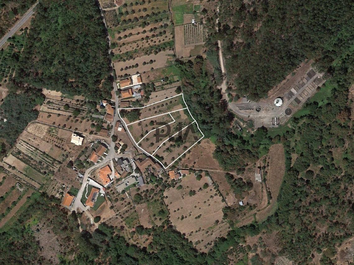 Terreno com Viabilidade de Construção em Mata, Tondela