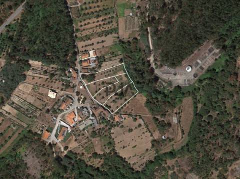 Terreno com Viabilidade de Construção em Mata, Tondela