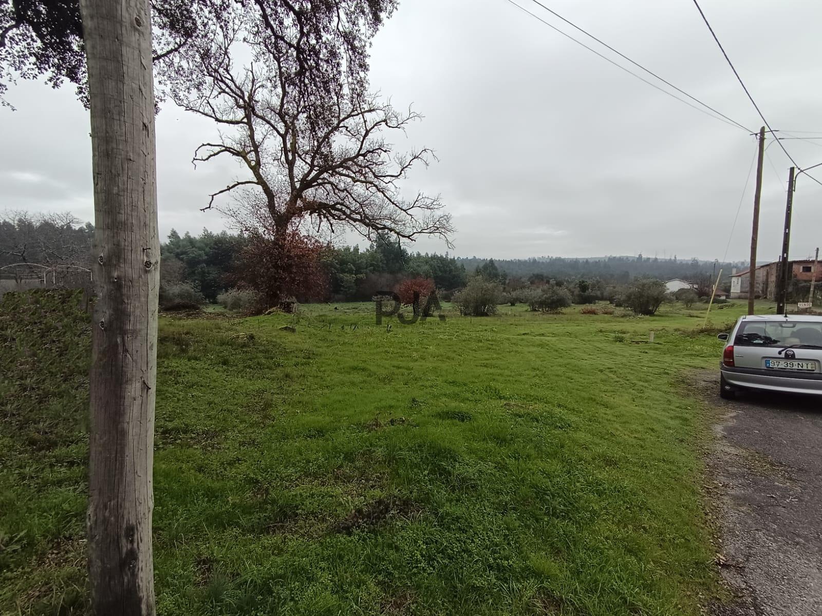 Terreno com Viabilidade de Construção em Mata, Tondela