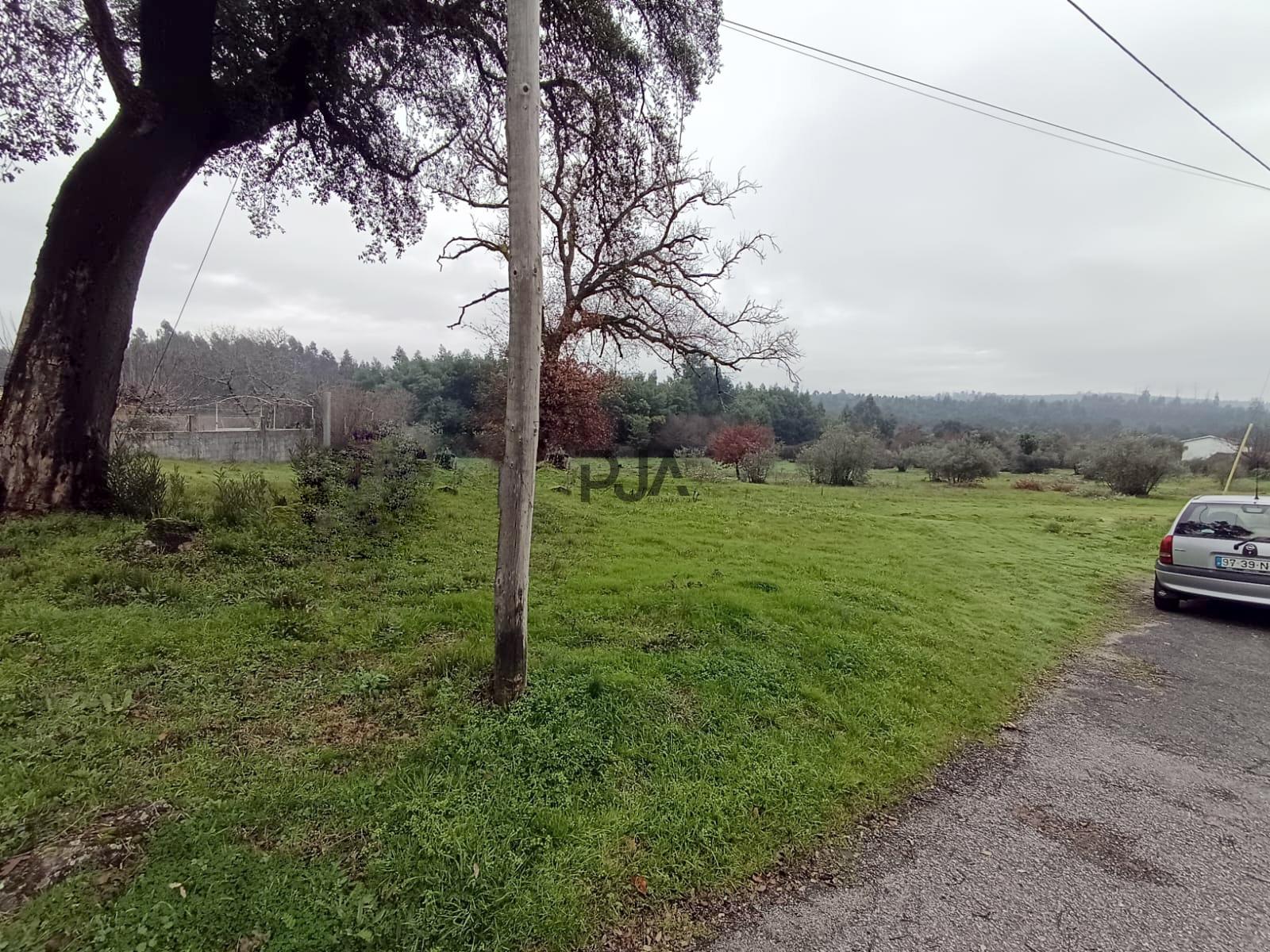 Terreno com Viabilidade de Construção em Mata, Tondela