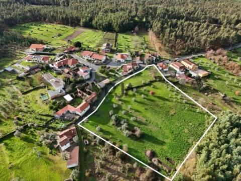 Terreno com Viabilidade de Construção em Mata, Tondela