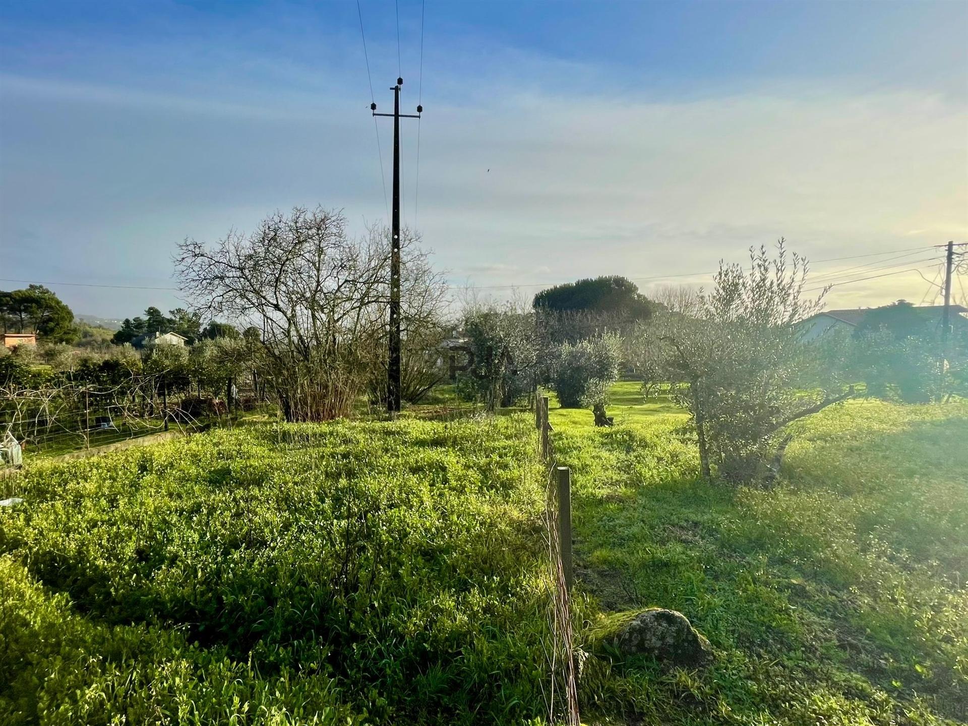 Terreno Misto em Teomil, Tondela