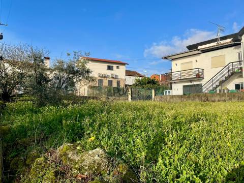 Terreno Misto em Teomil, Tondela
