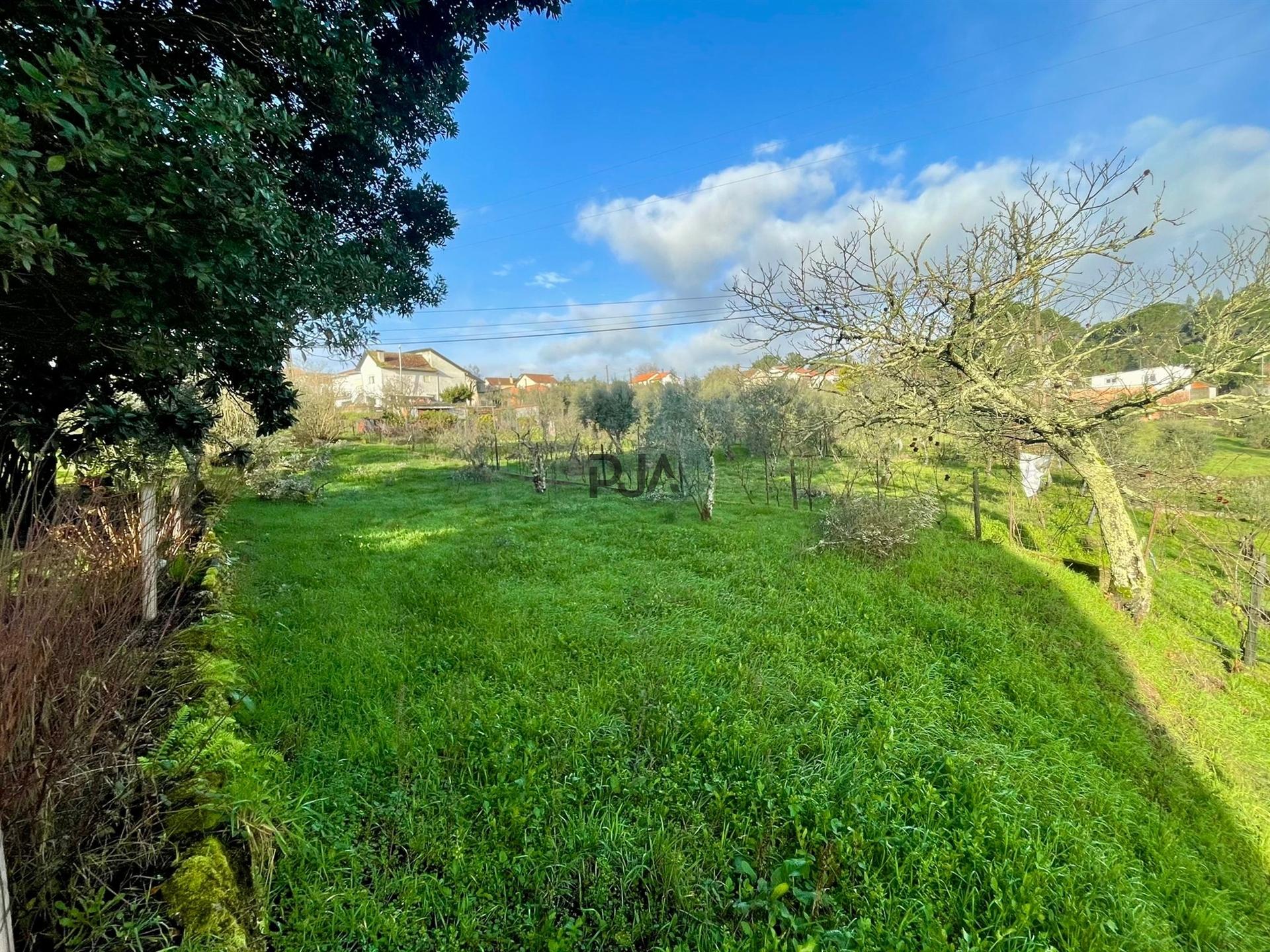 Terreno Misto em Teomil, Tondela