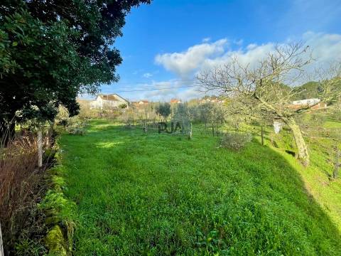 Terreno Misto em Teomil, Tondela