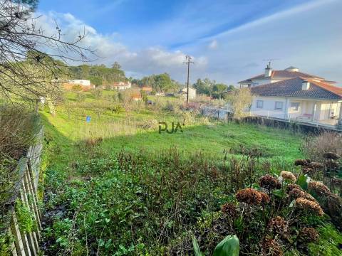 Terreno Misto em Teomil, Tondela