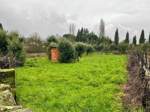Terreno Rústico  Venda em Santar e Moreira,Nelas