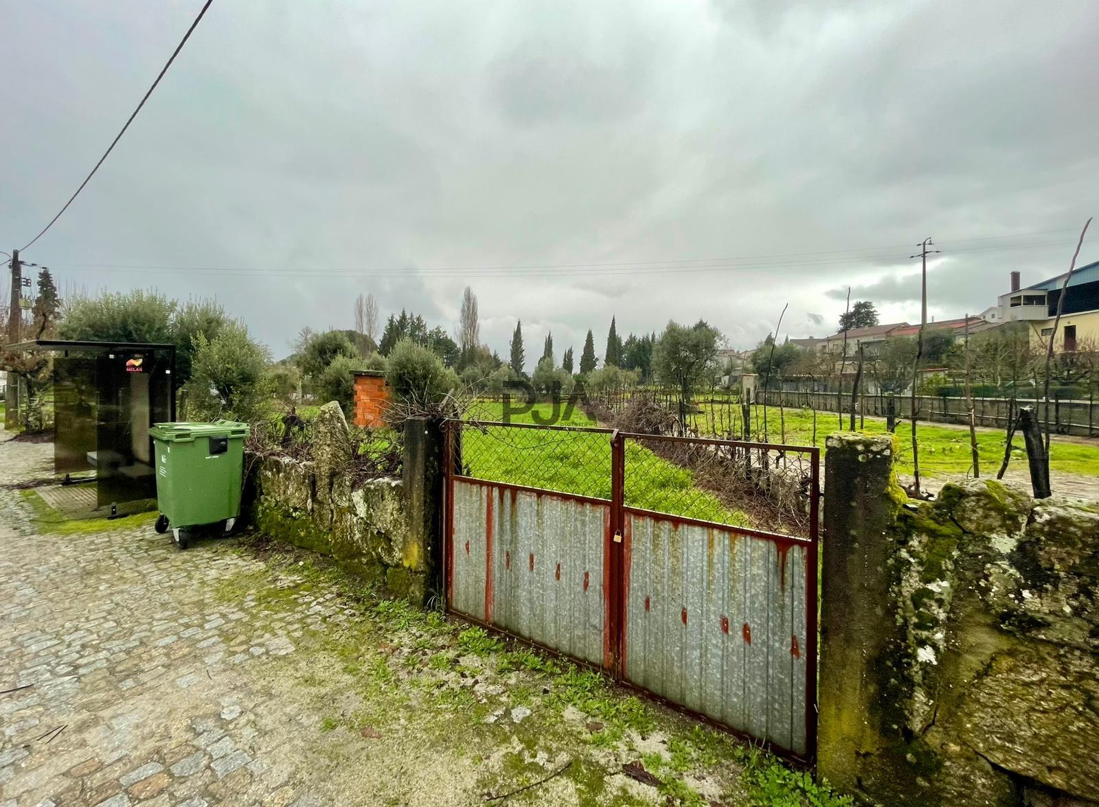 Terreno Rústico  Venda em Santar e Moreira,Nelas