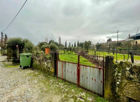 Terreno Rústico  Venda em Santar e Moreira,Nelas