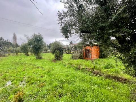 Terreno Rústico  Venda em Santar e Moreira,Nelas