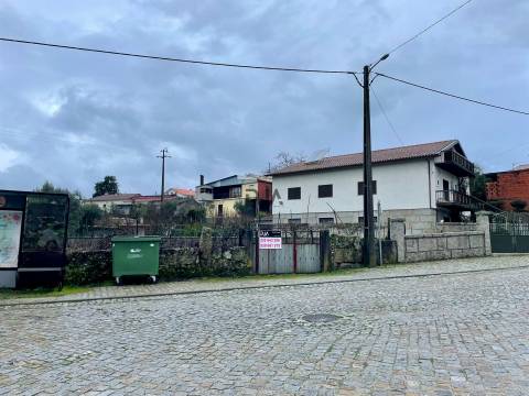 Terreno Rústico  Venda em Santar e Moreira,Nelas