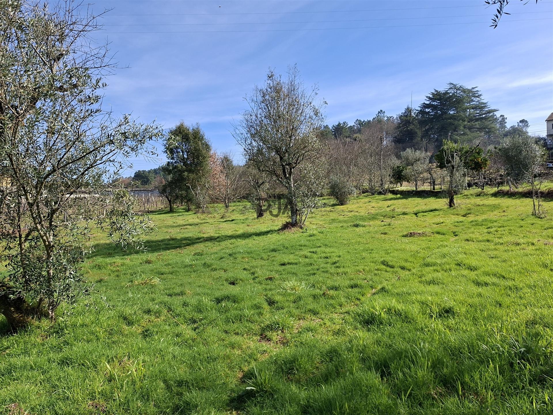 Terreno para construção em Fornos de Maceira Dão, Mangualde