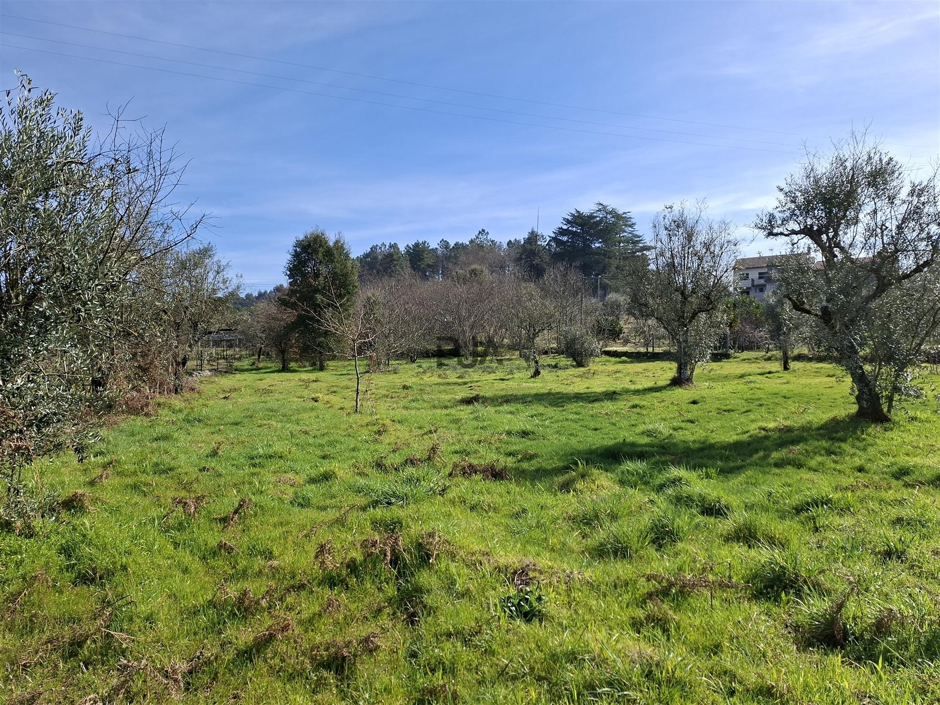 Terreno para construção em Fornos de Maceira Dão, Mangualde