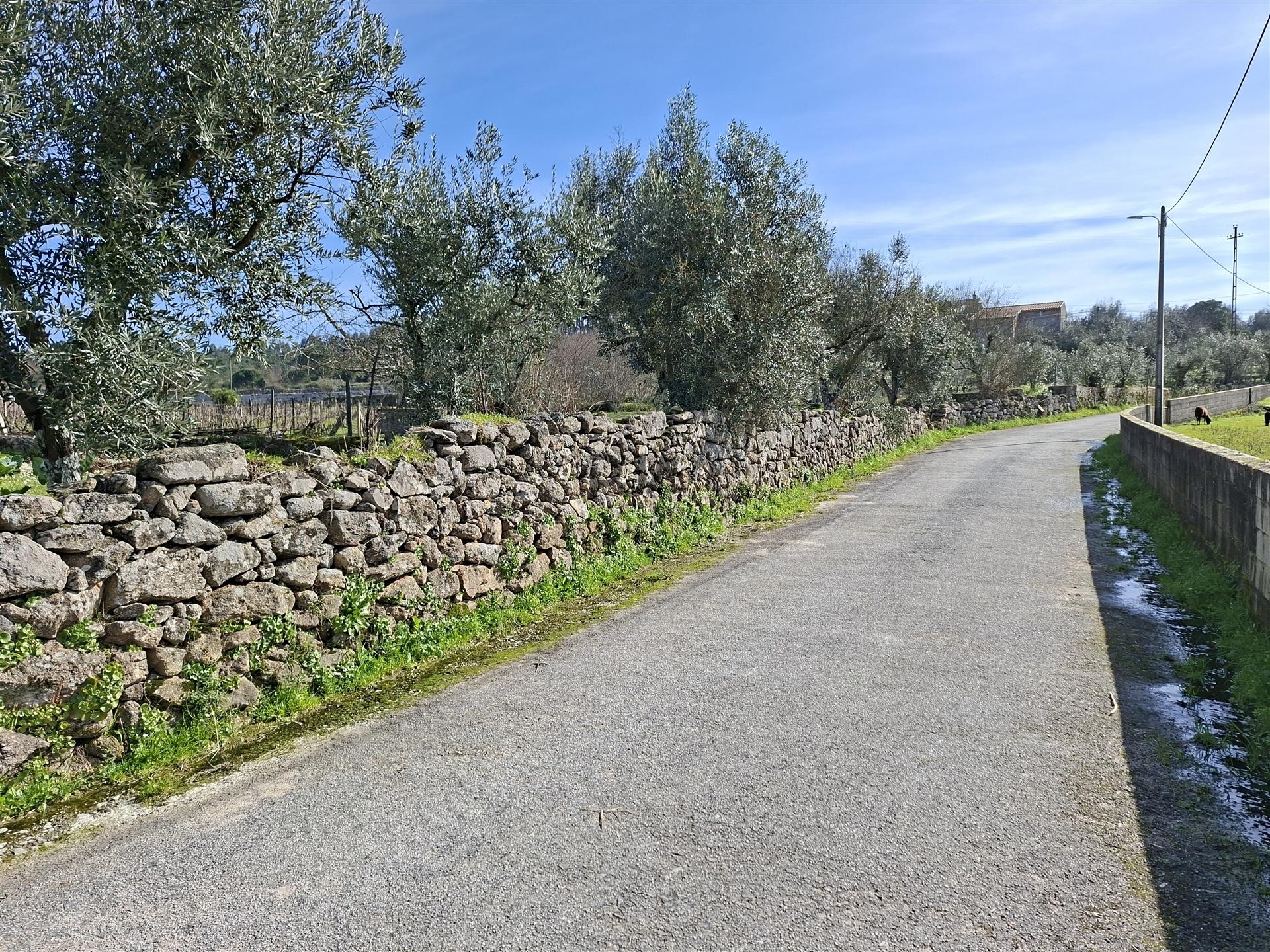 Terreno para construção em Fornos de Maceira Dão, Mangualde