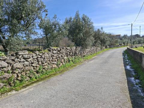 Terreno para construção em Fornos de Maceira Dão, Mangualde