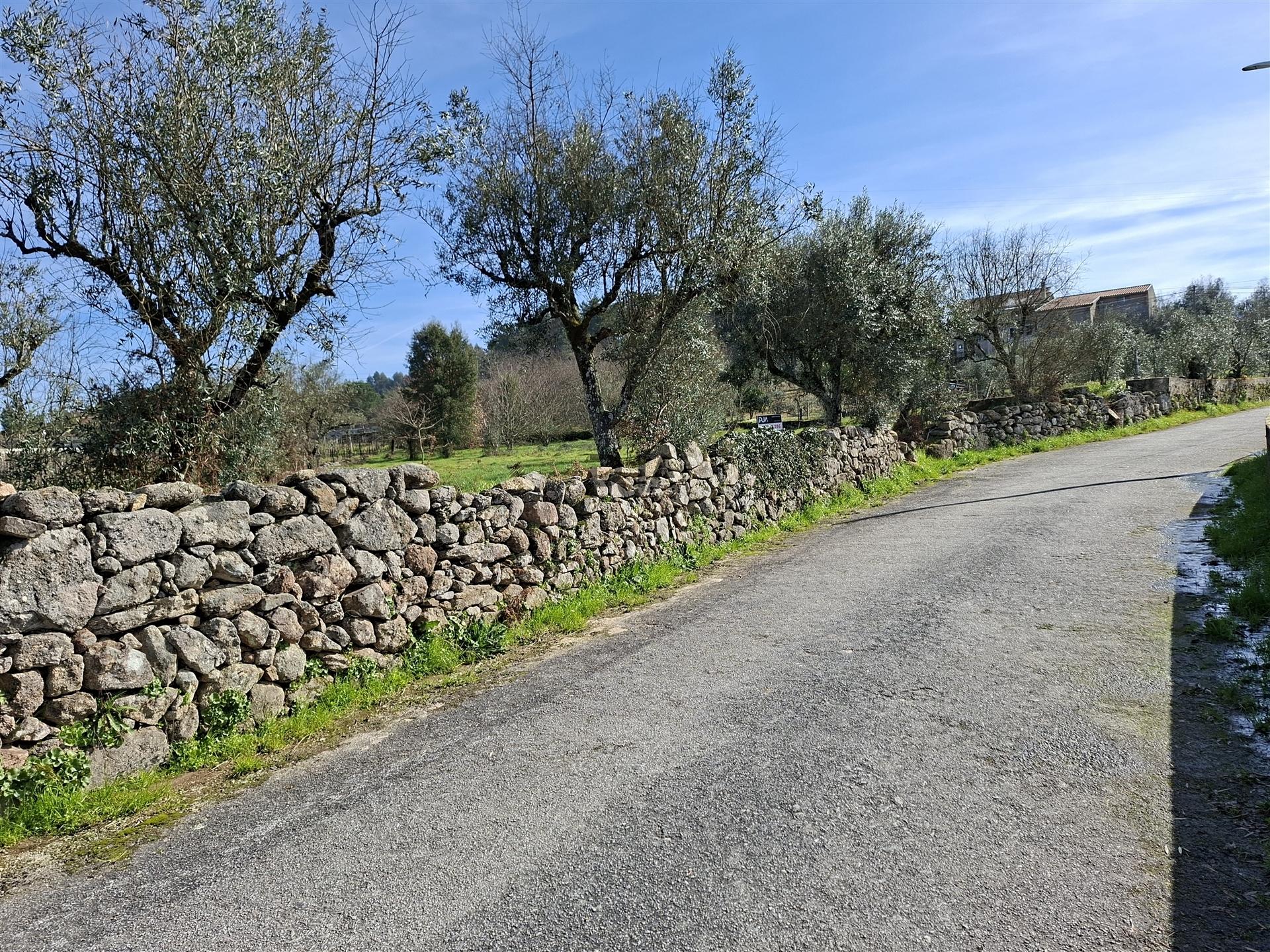 Terreno para construção em Fornos de Maceira Dão, Mangualde