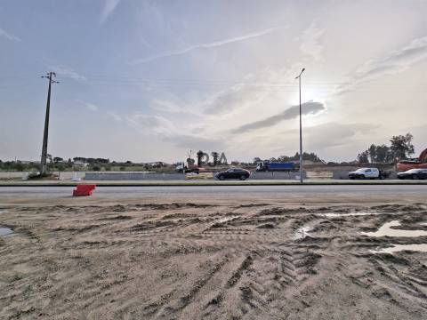 Terreno para arrendar em Nelas