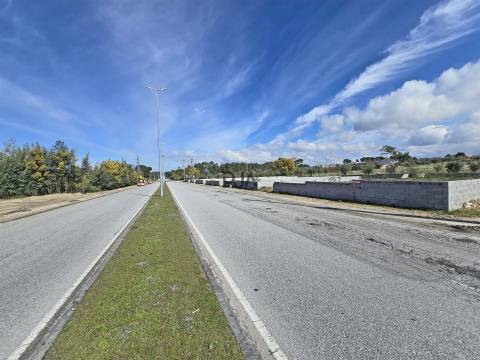 Terreno para arrendar em Nelas