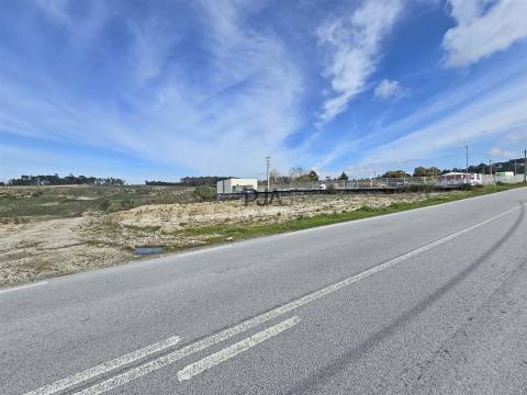 Terreno para arrendar em Nelas