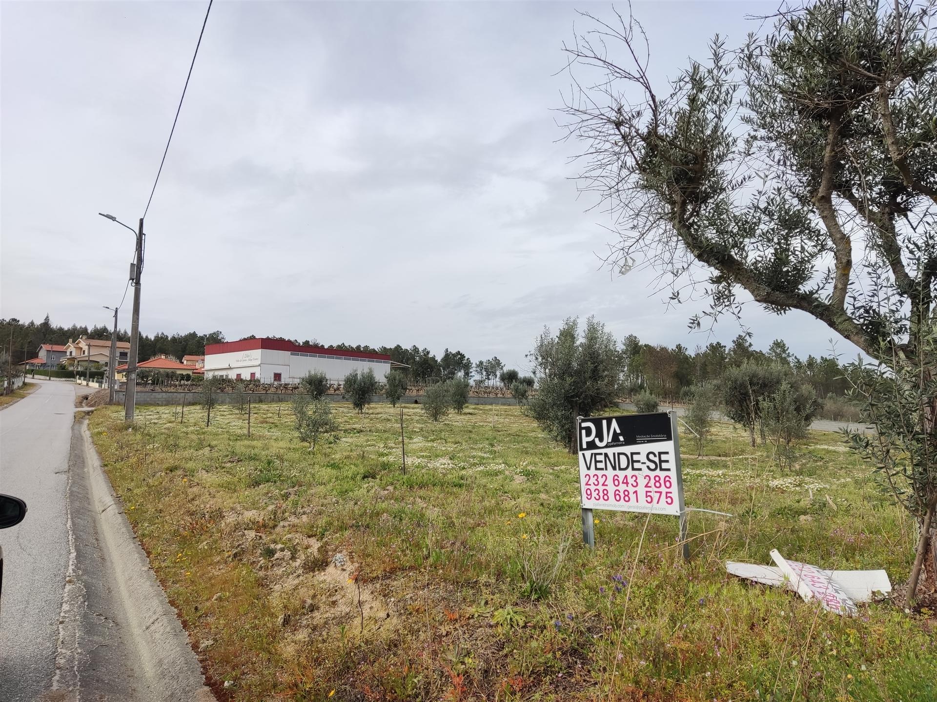 Terreno para construção em Campina, Penalva do Castelo