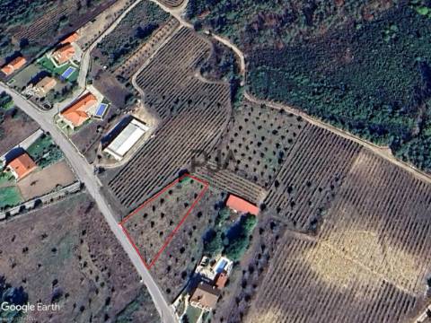 Terreno para construção em Campina, Penalva do Castelo