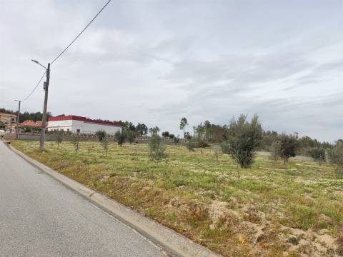 Terreno para construção em Campina, Penalva do Castelo