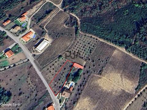 Terreno para construção em Campina, Penalva do Castelo